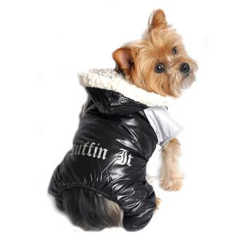 Arctic Pupstyle