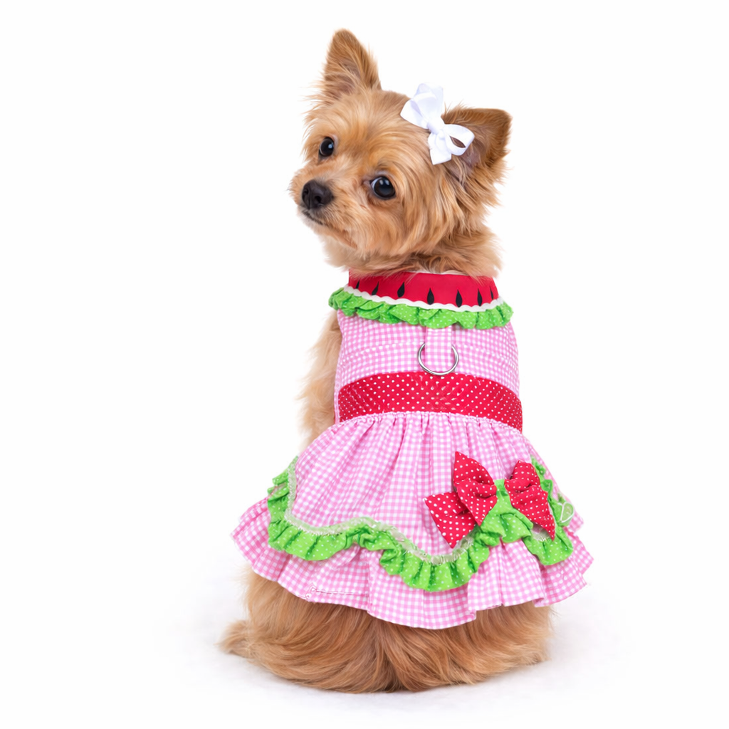 Summer Melonette – Dog Dress with Matching Leash