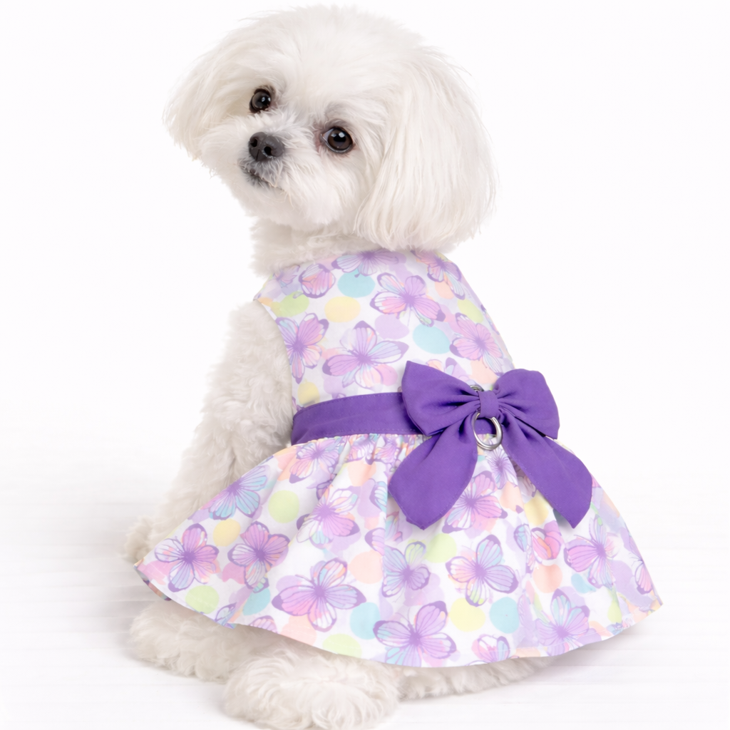 Violet Kiss – Dog Dress with Matching Leash