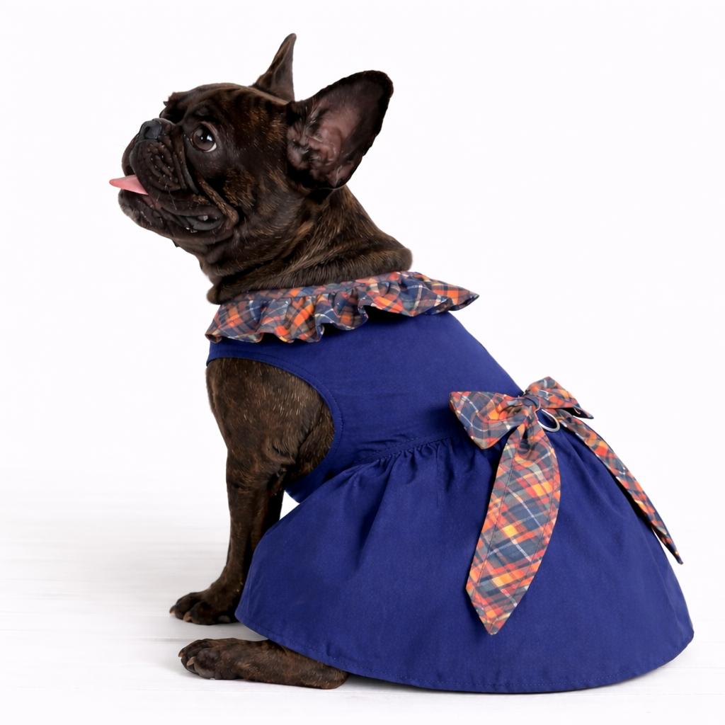 Plaid Darling – Dog Dress with Matching Leash
