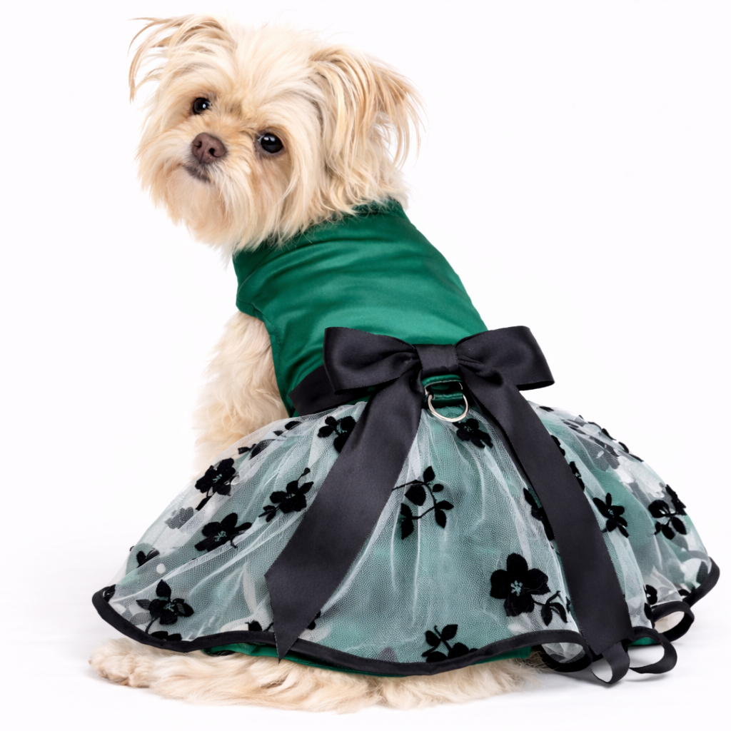 Jade Whisper – Dog Dress with Matching Leash