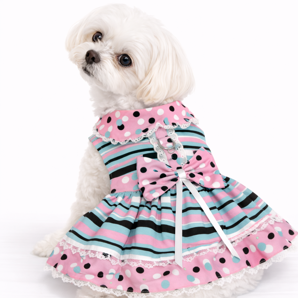 Minty Mix – Dog Dress with Matching Leash