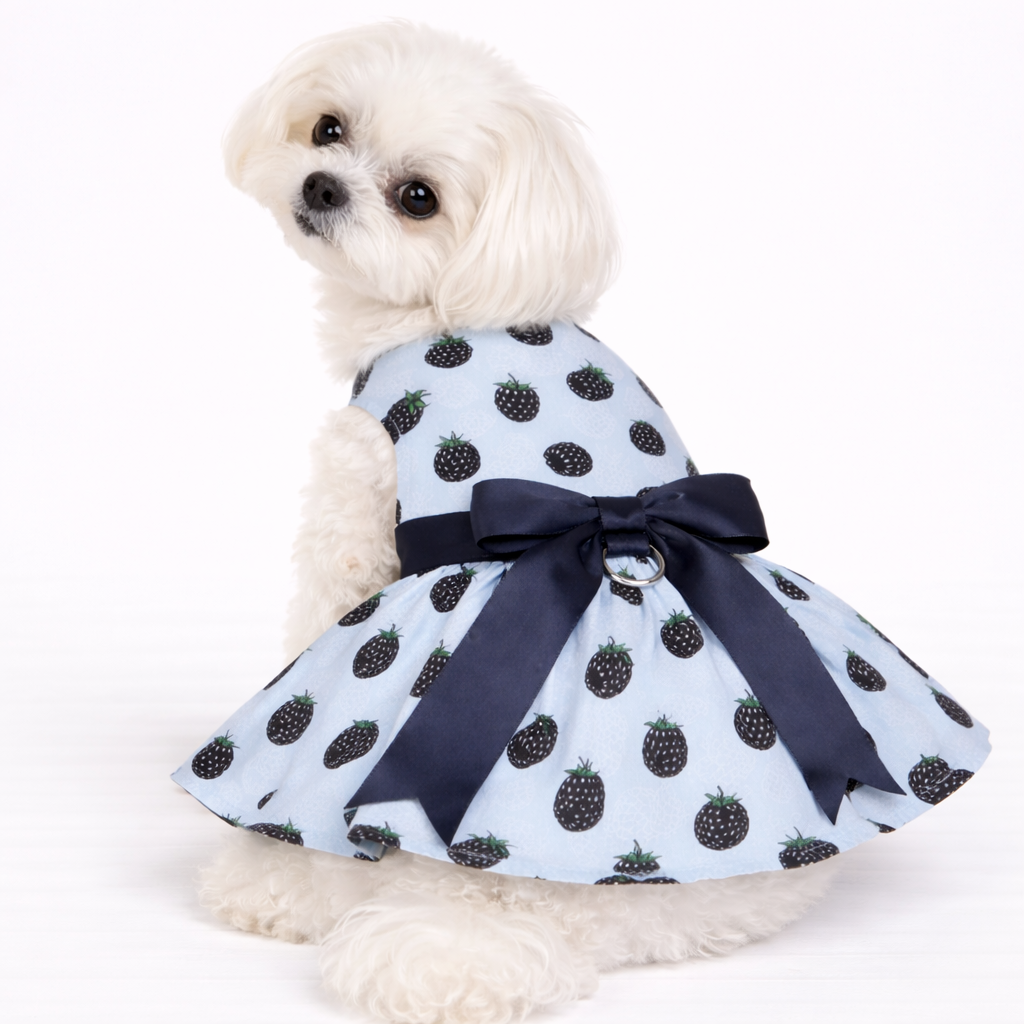Polka Berry – Dog Dress with Matching Leash