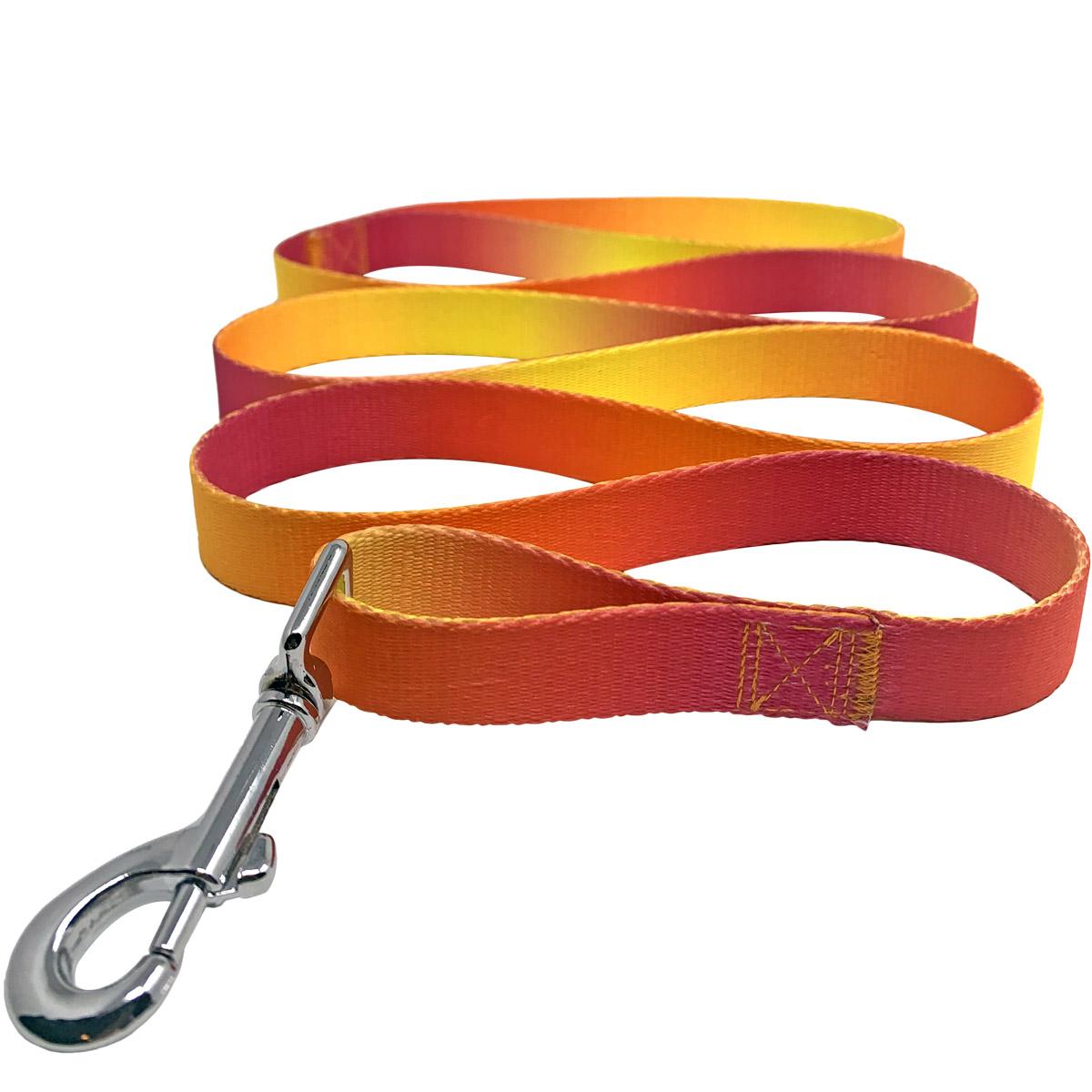 Pink and Orange Dog Leash