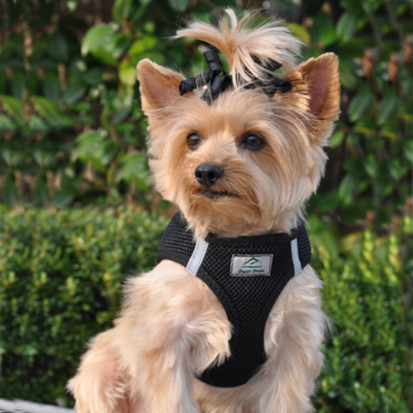 Ultra Choke Free Dog Harness (10 Color Options)