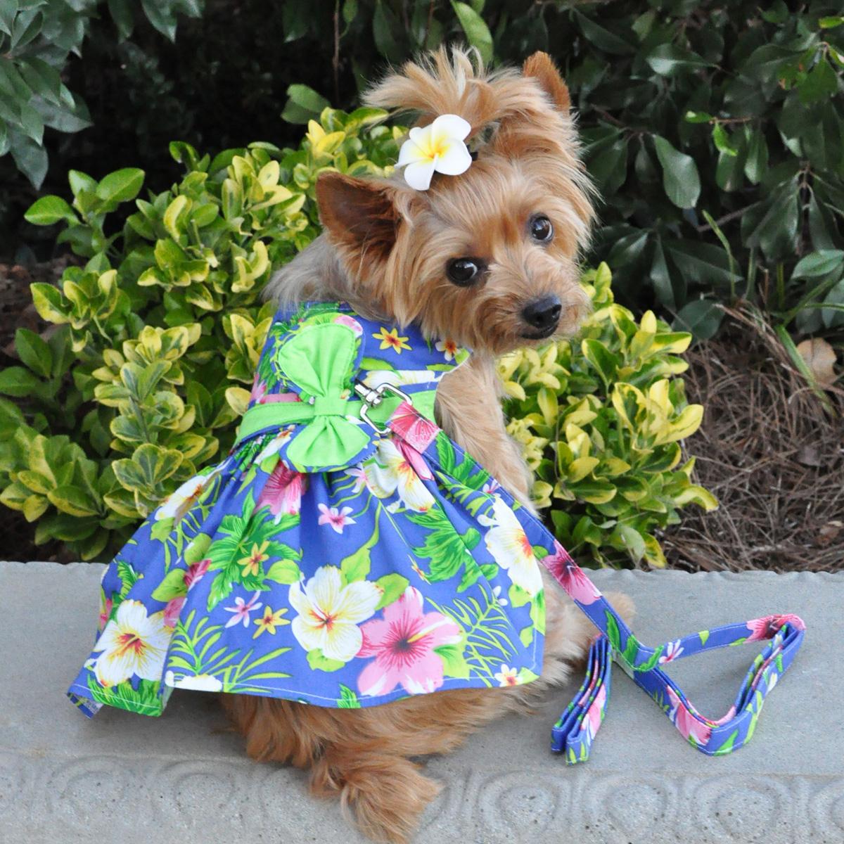 Blue Hawaiian Dog Dress with Matching Leash