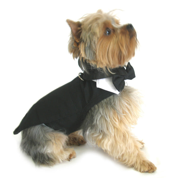 Black Dog Harness Tuxedo with Tails & Bow Tie