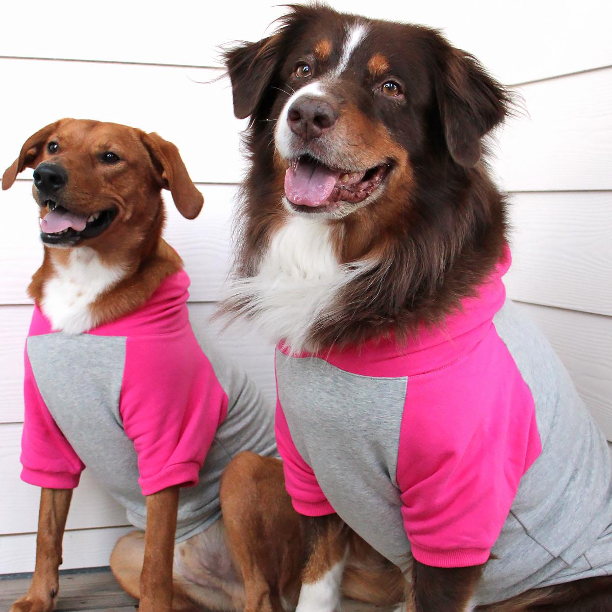 Multi-Color-Dog Hoodie (2 Color Options)