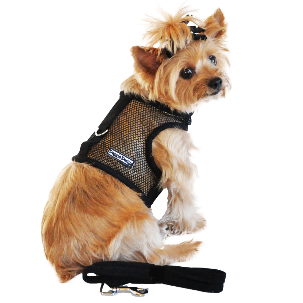 Mesh Dog Harness With Matching Leash ( 2 Color Options)