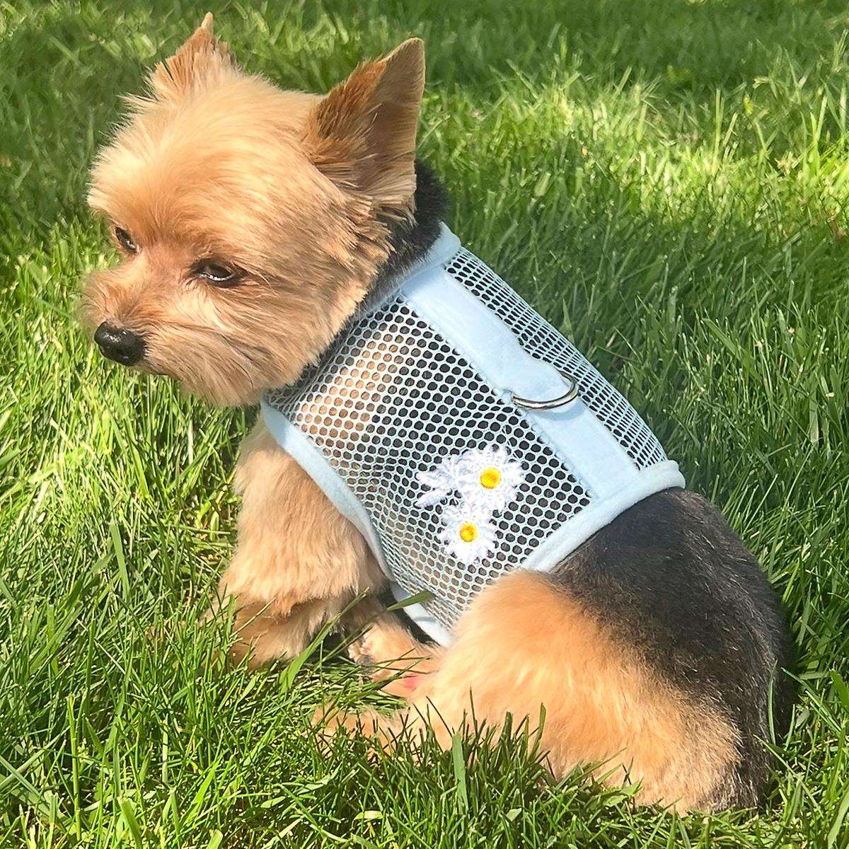Summer Patterns Mesh Dog Harness with Leash (10 Style Options)