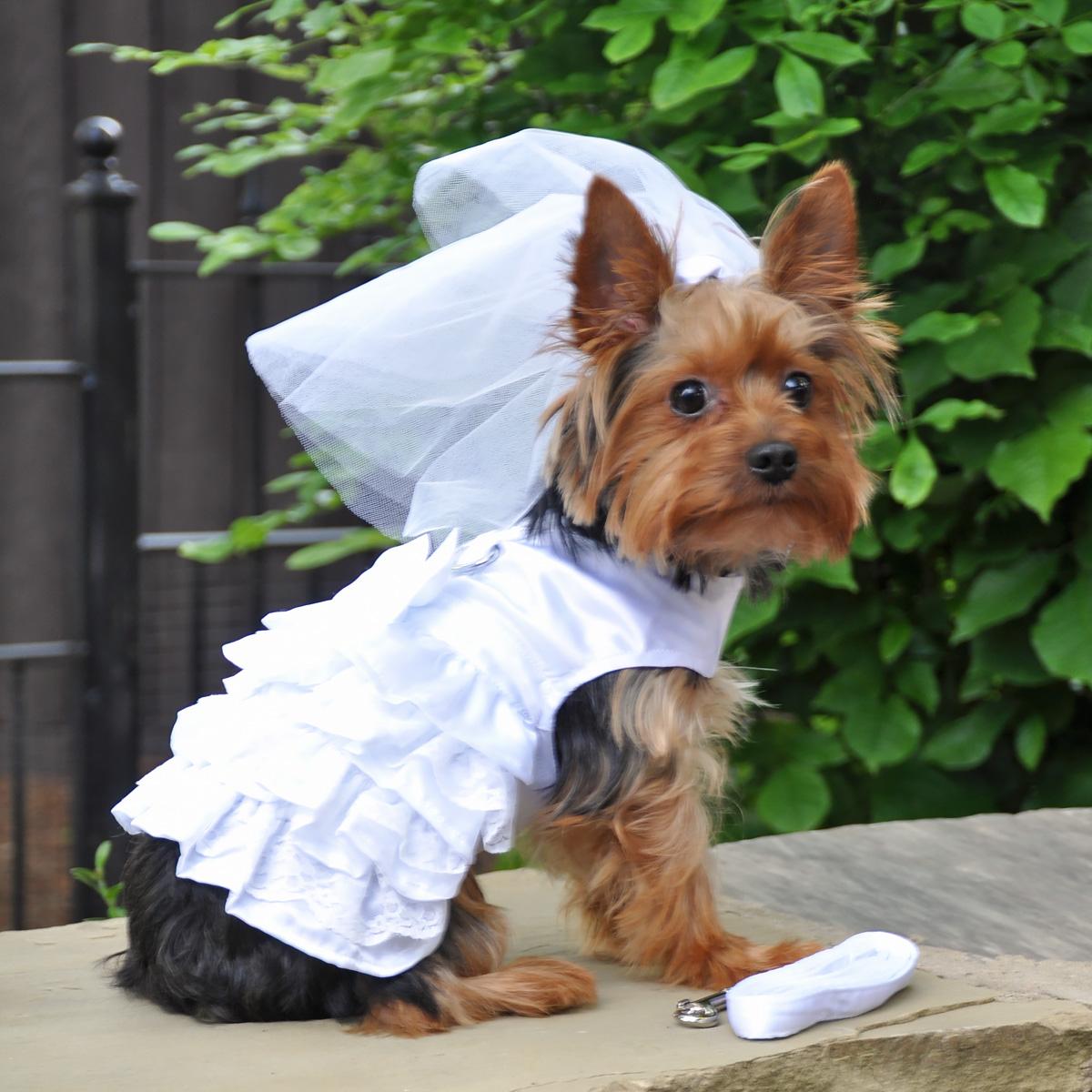 White Satin & Lace Dog Wedding Dress with Veil & Leash