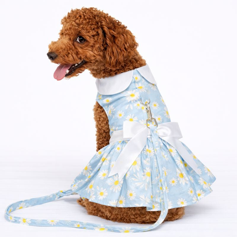 Daisy Day – Dog Dress with Matching Leash