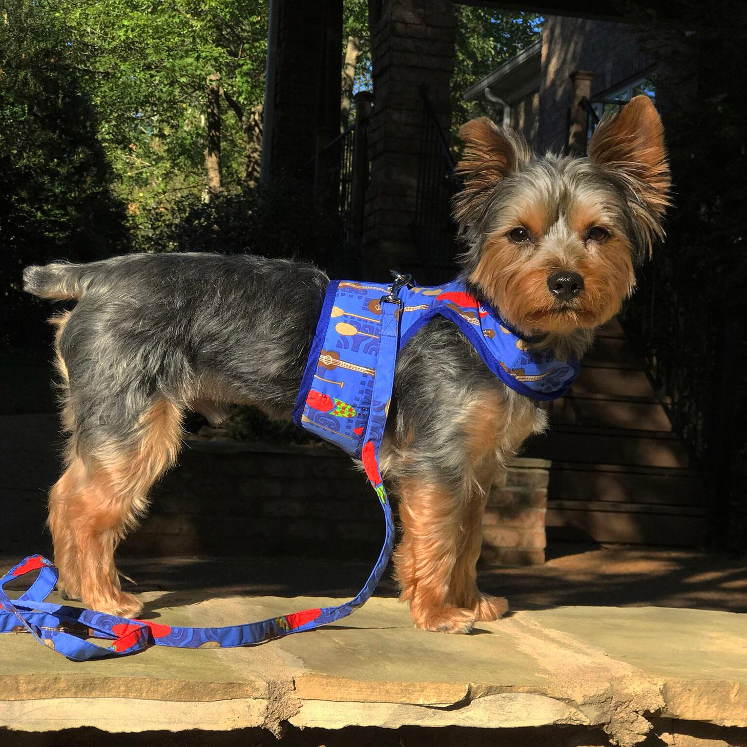 Ukuleles and Surfboards Fabric Dog Harness with Leash