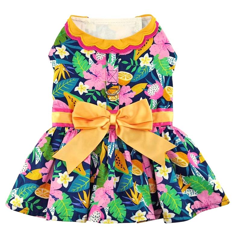 Fiesta Floral Dog Dress with Leash