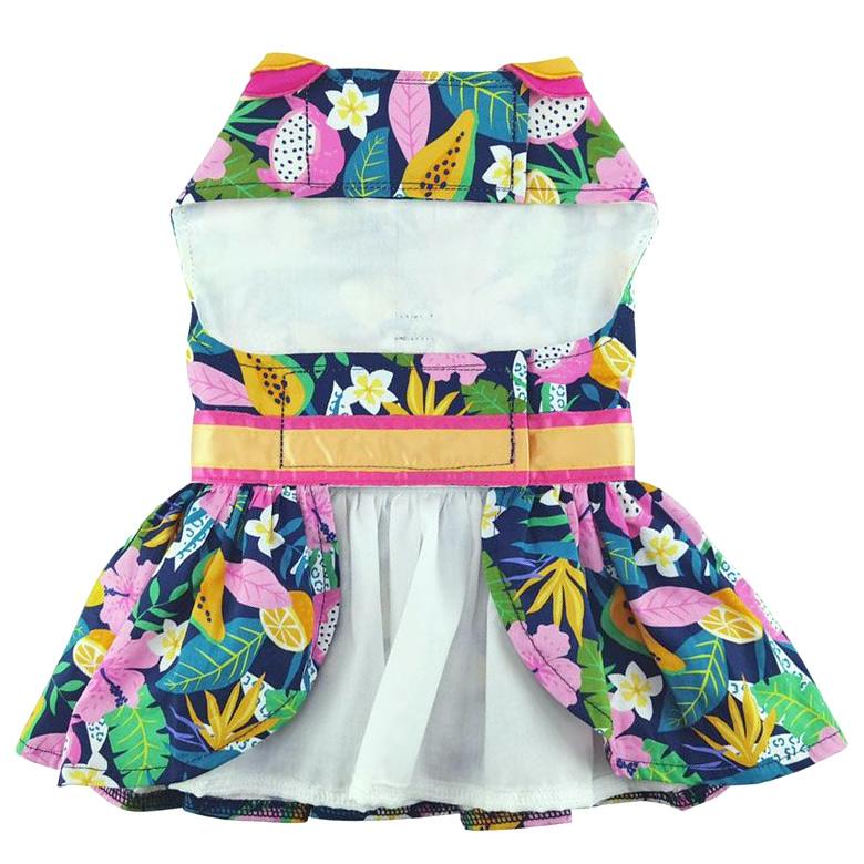 Fiesta Floral Dog Dress with Leash