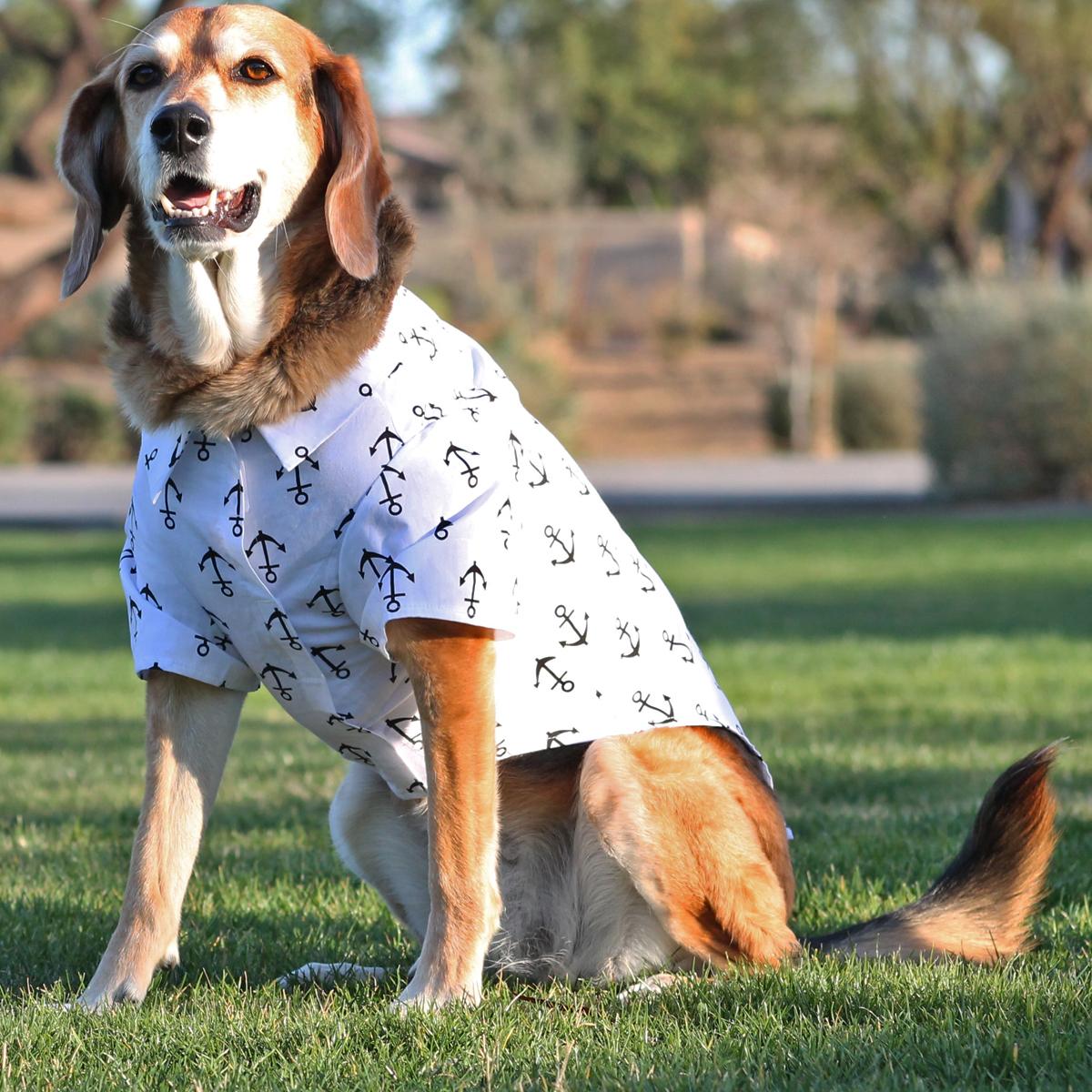Anchors Aweigh Tropical Dog Shirt