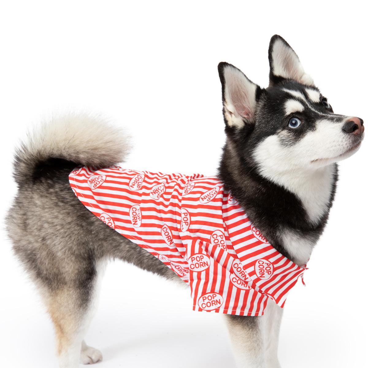 Movie Theater Popcorn Tropical Dog Shirt