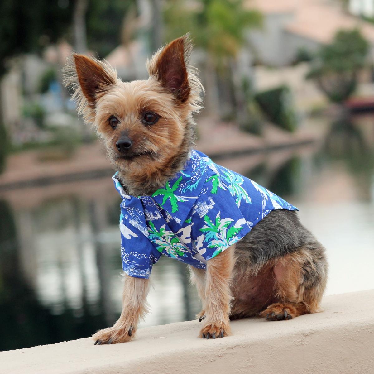 Ocean Blue Palms Tropical Dog Shirt