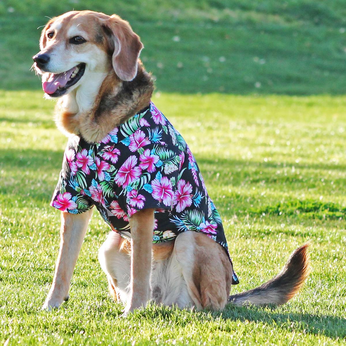 Paradise Nights Tropical Dog Shirt
