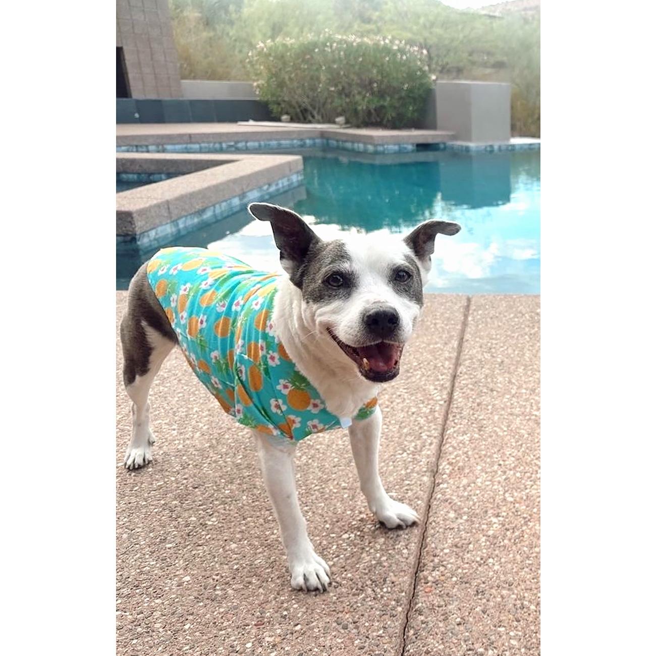 Pineapple Luau Tropical Dog Shirt
