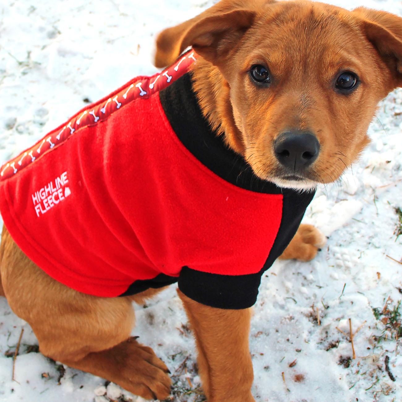 Patterned Fleece Dog Coat (2 Color Options)