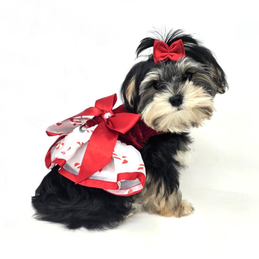Candy Canes Dog Harness Dress