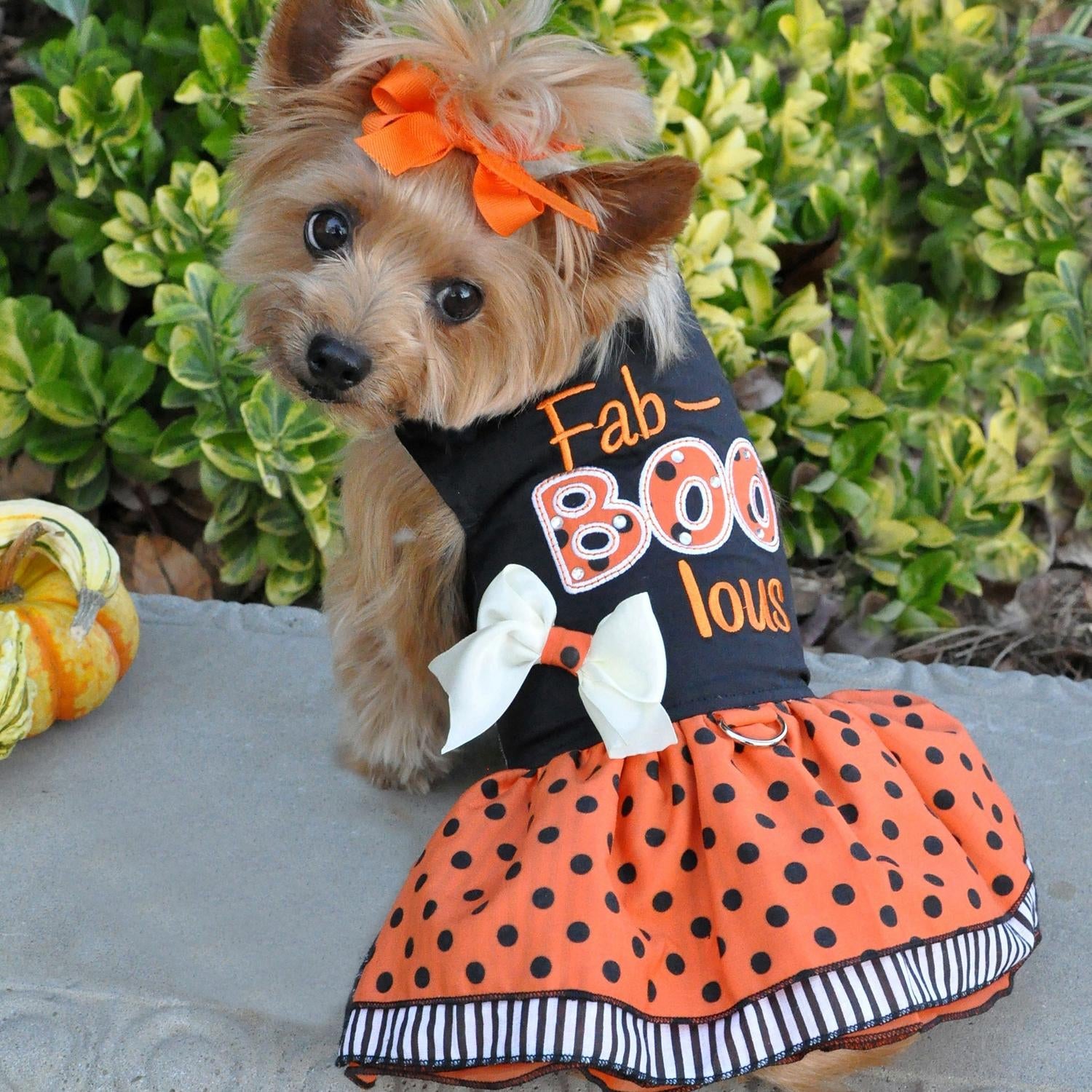 Fab-BOO-lous Dog Harness Dress