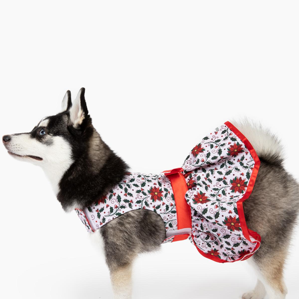 Holly Jolly Harness Dress with Matching Leash