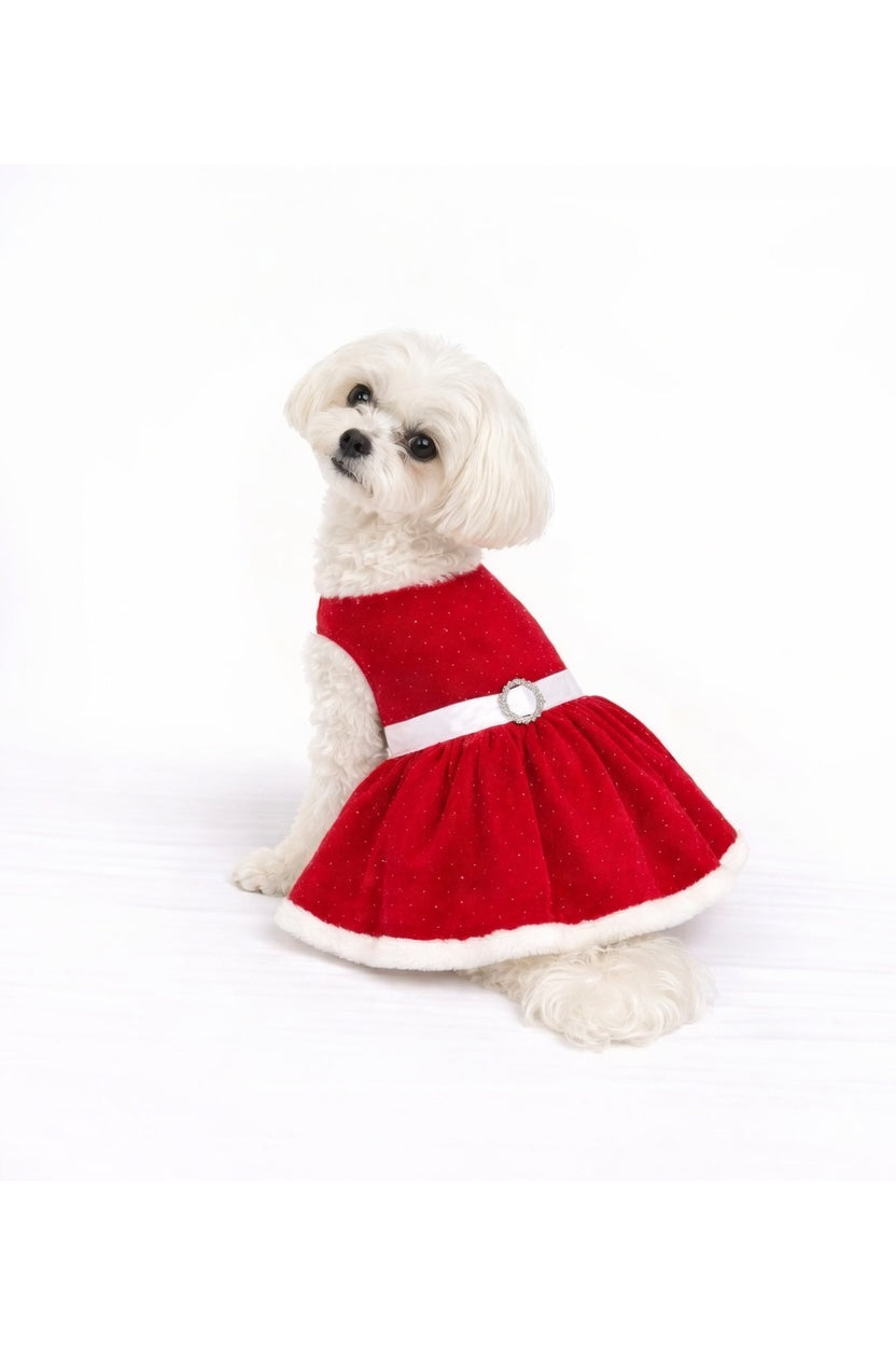 Holiday Ruby – Dog Dress with Matching Leash