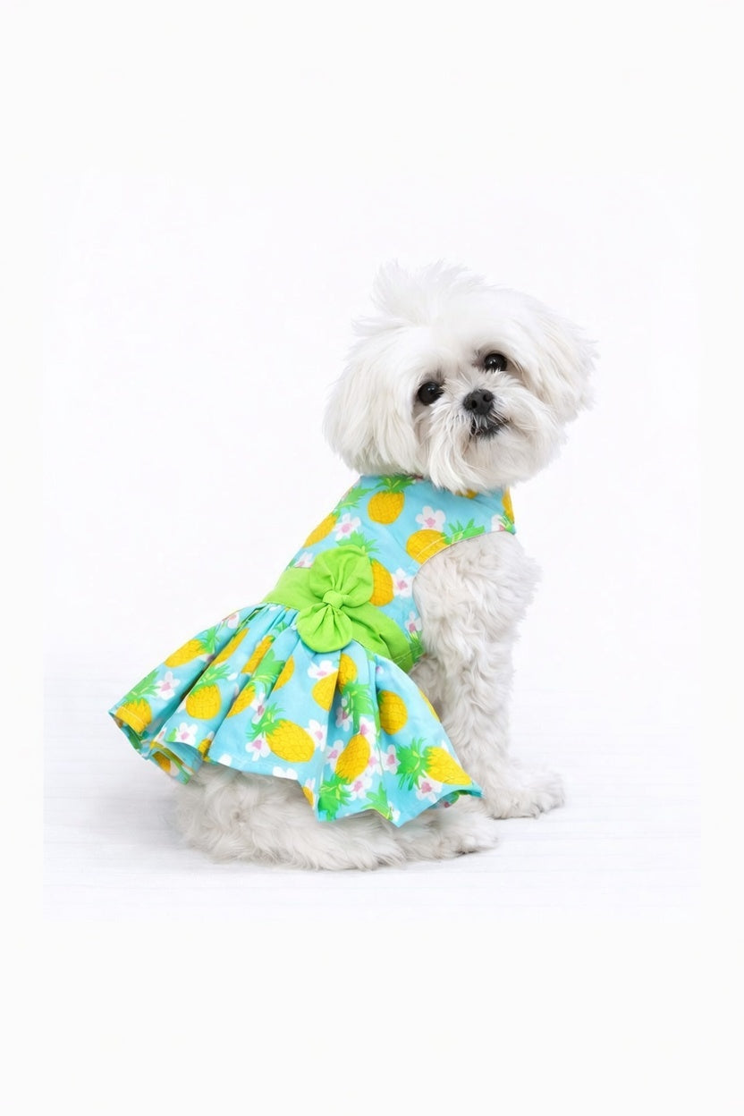 Palm Splash – Dog Dress with Matching Leash