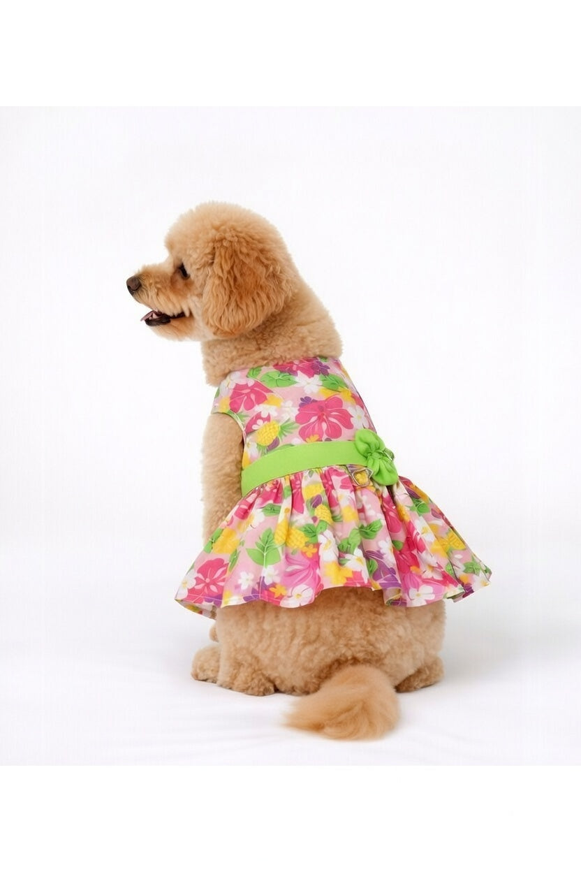 Pink Lei – Dog Dress with Matching Leash