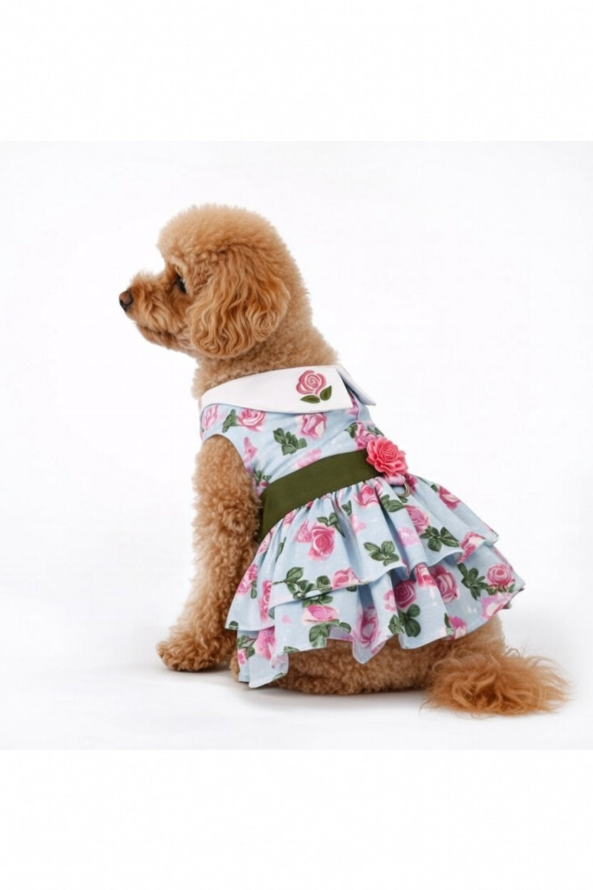 Blush Bloom – Dog Dress with Matching Leash