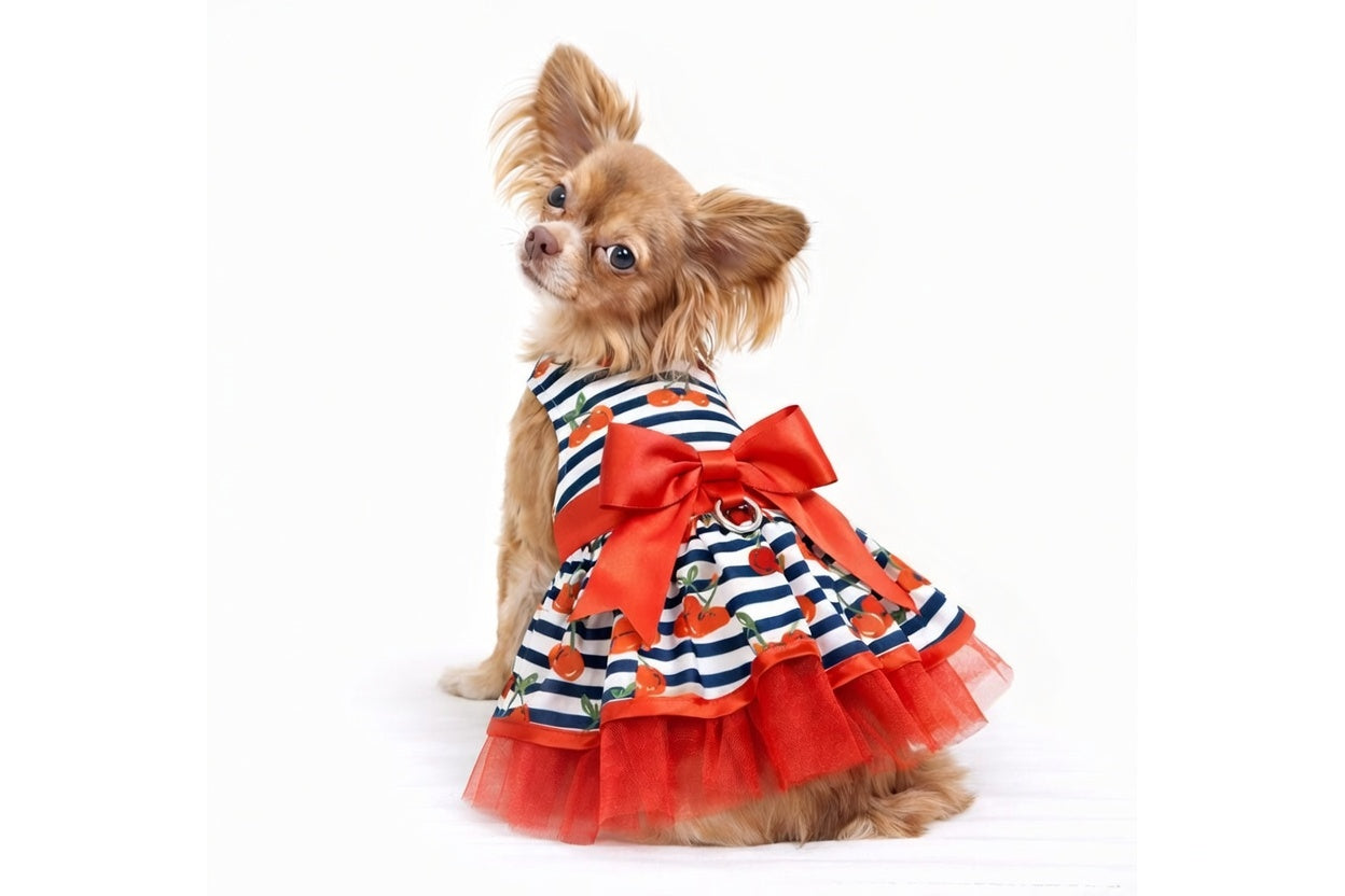 Picnic Pup – Dog Dress with Matching Leash