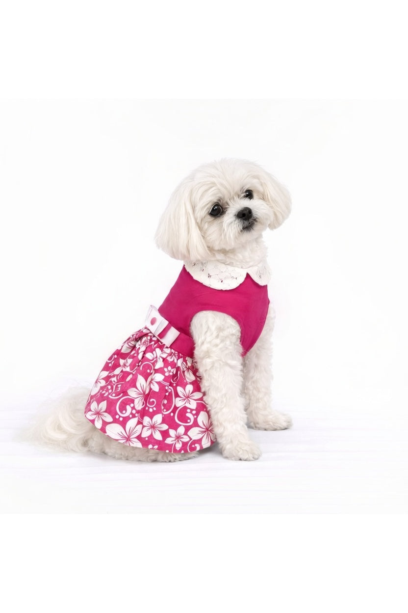 Hibiscus Pop – Dog Dress with Matching Leash