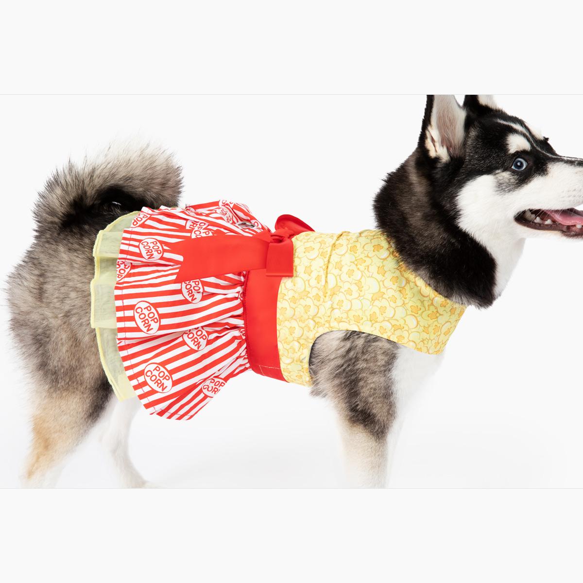 Movie Theater Popcorn Dog Dress With Leash