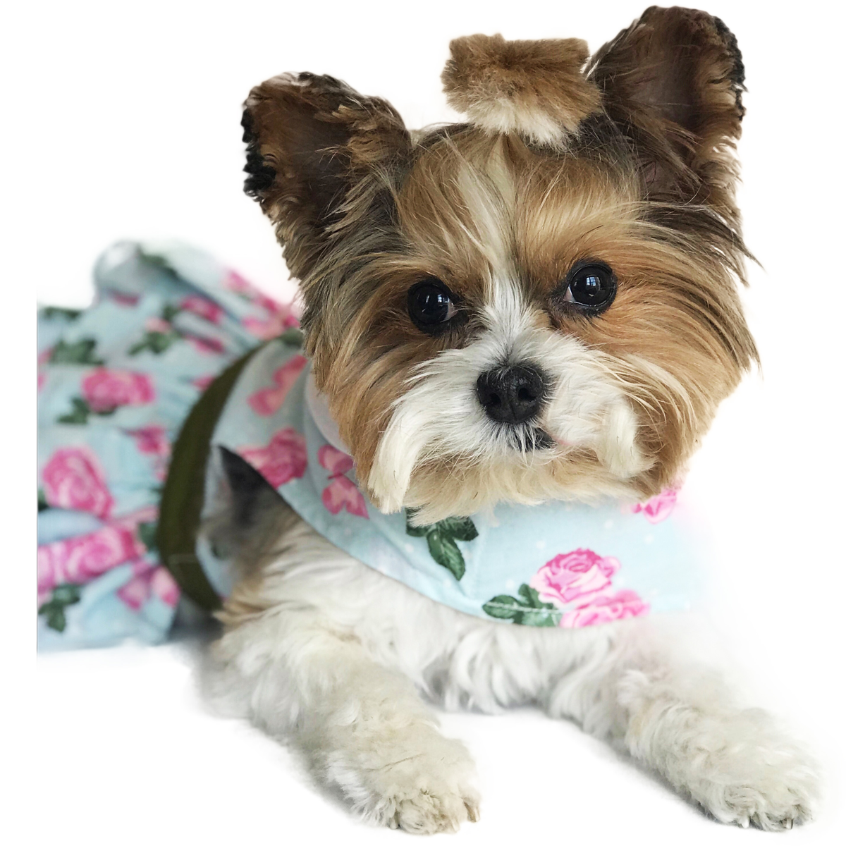 Pink Rose Garden Dog Harness Dress