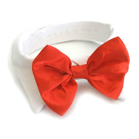 White Dog Collar with Red Satin Bow Tie