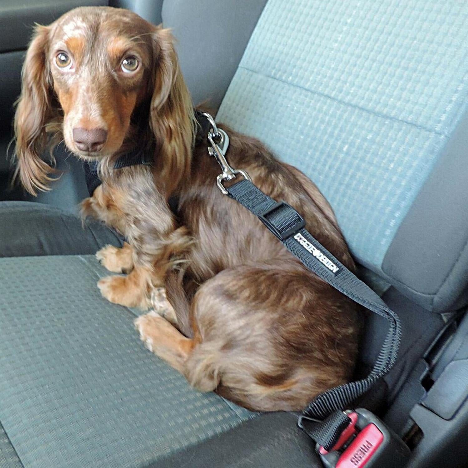 Adjustable Dog Car Seat Belt Leash