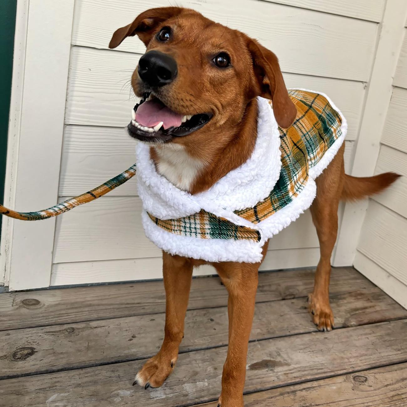 Yellow Plaid Sherpa-Lined Dog Harness Coat